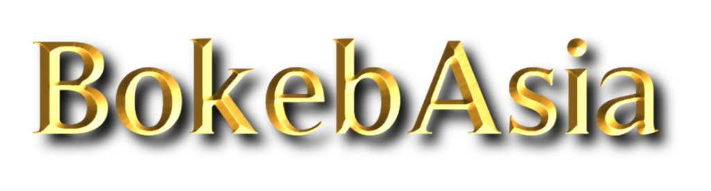 BOKEB ASIA logo